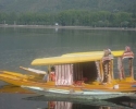 shikara in dal lake