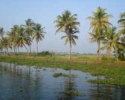 Vembanad  lake enchanting view