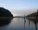 Periyar Lake Thekkady Kerala